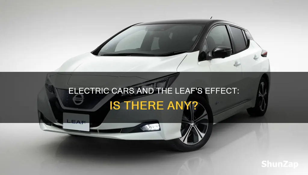 does leaf have no efect on electric