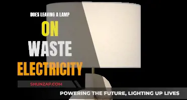 Leaving a Lamp On: Energy-Waste or Efficient Lighting?