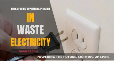 Unplug to Save: Reducing Electricity Waste at Home