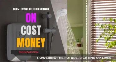 Electric Showers: Costly Mistakes or Efficient Energy Use?