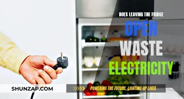 Open Fridge, Wasted Electricity: What's the Real Cost?