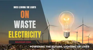 Lights On: Energy Waste or Necessary Illumination?