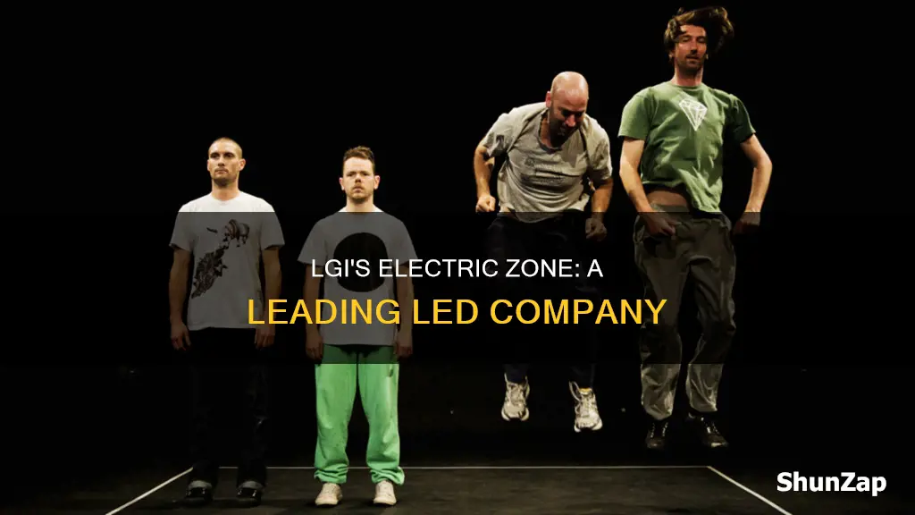 does lgi led company related to electric zone