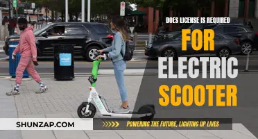 Electric Scooter Legalities: License Requirements Explained