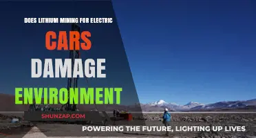 Lithium Mining for Electric Cars: Environmental Impact and Sustainability Concerns