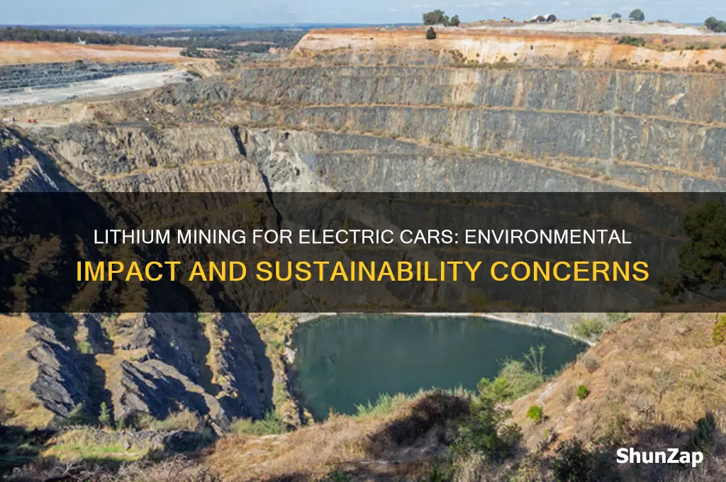 does lithium mining for electric cars damage environment
