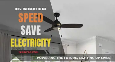 Ceiling Fan Speed: Slower Spin, Lower Bills?