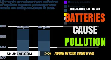 Electric Car Batteries: Clean Energy or Hidden Environmental Pollutant?