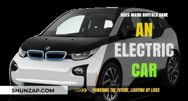 Mark Ruffalo's Eco-Friendly Ride: Does He Drive an Electric Car?
