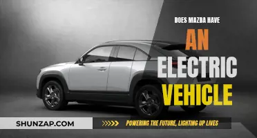 Mazda's Electric Vehicle Plans: What's the Current Status?