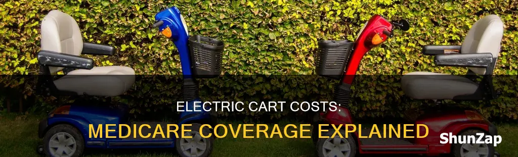does medicare cover cost of electric cart