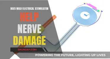 Electrical Stimulation Therapy: Nerve Damage Repair Potential