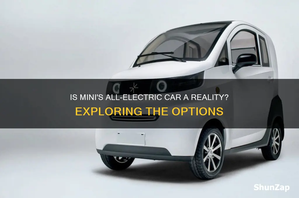 does mini have an all-electric car