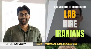 Mitsubishi Electric Research Lab: Hiring Without Borders