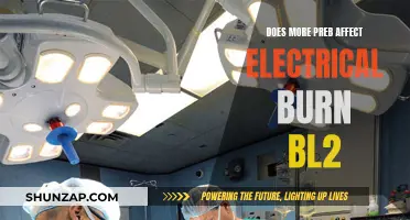 Electrical Burns: Preb's Impact on BL2 Scenarios
