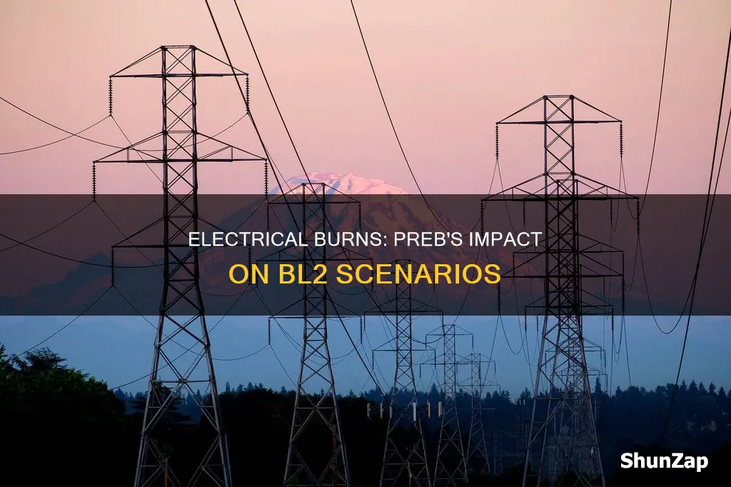 does more preb affect electrical burn bl2