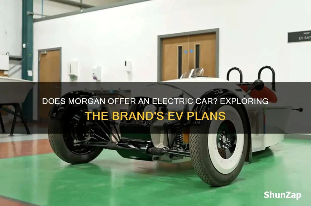 does morgan make an electric car