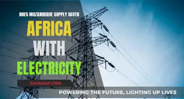 Electricity Supply: Mozambique's Power Provision to South Africa