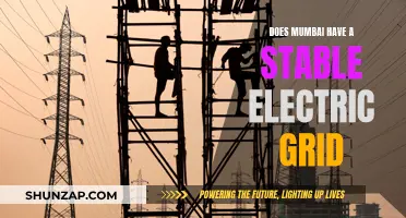 Mumbai's Electric Grid: Stable or Not?