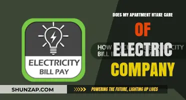 Apartment Living: Who Handles Your Electricity Bills and Maintenance?