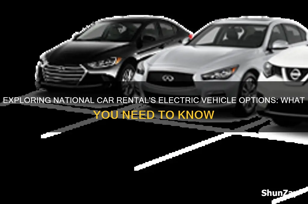 does national car rental have electric cars