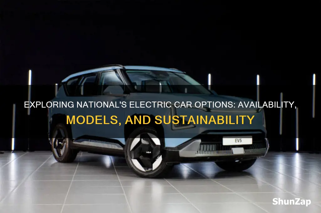 does national have electric cars