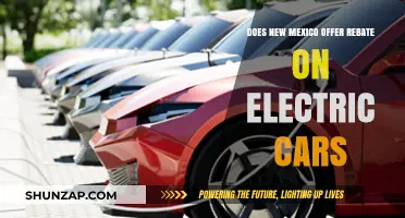New Mexico Electric Car Rebates: What You Need to Know