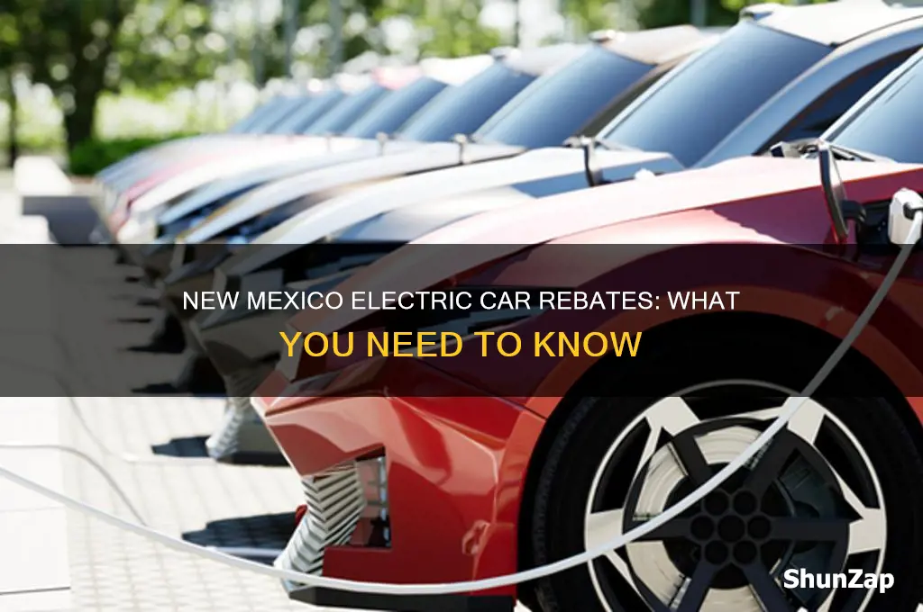 does new mexico offer rebate on electric cars