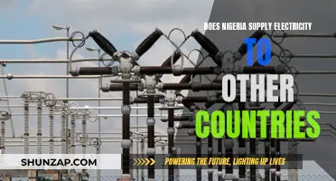 Electricity Export: Nigeria's Power Supply to Neighboring Countries