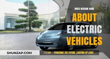 Nissan's Electric Vehicle Commitment: Innovation, Sustainability, or Mere Marketing?