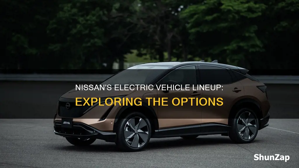 does nissan have an electric vehicle