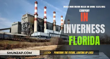 Electric Companies in Inverness: Northern Neck or Duke?
