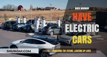 Norway's Electric Car Revolution: Leading the Global Shift to Sustainability