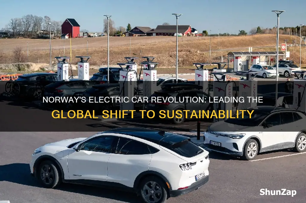 does norway have electric cars