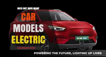 Limited Electric Car Model Options: Challenges and Future Prospects