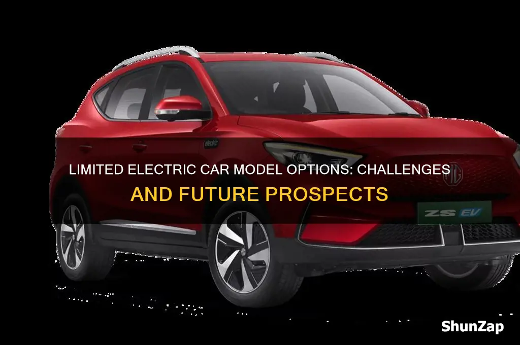 does not have many car models electric