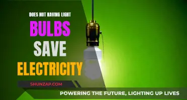 Light Bulbs: Energy Saving or Myth?