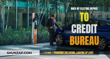 Electric Bills and Credit Scores: NY's Reporting to Bureau
