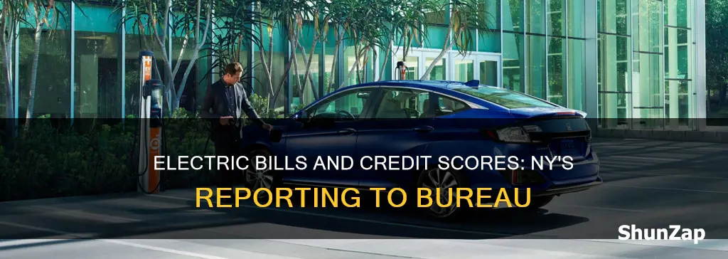 does ny electric report to credit bureau