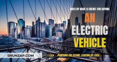New York's Incentives for Electric Vehicle Buyers