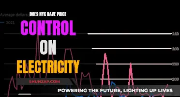 Electricity Price Control: NYC's Power Play?