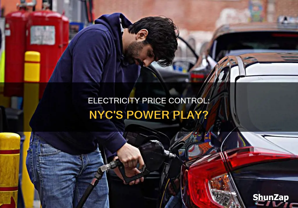does nyc have price control on electricity