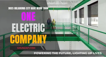 Oklahoma City's Electricity Options: One or Many Providers?
