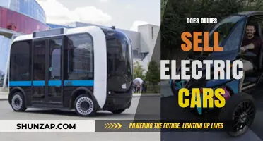 Does Ollies Offer Electric Cars? Exploring Their Automotive Inventory