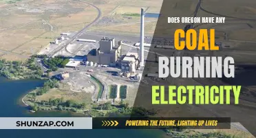 Oregon's Coal-Burning Electricity: What's the Status?