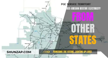 Oregon's Electricity: Self-Sufficient or Imported Power?