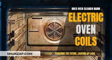 Oven Cleaner Safety: Electric Coils at Risk?