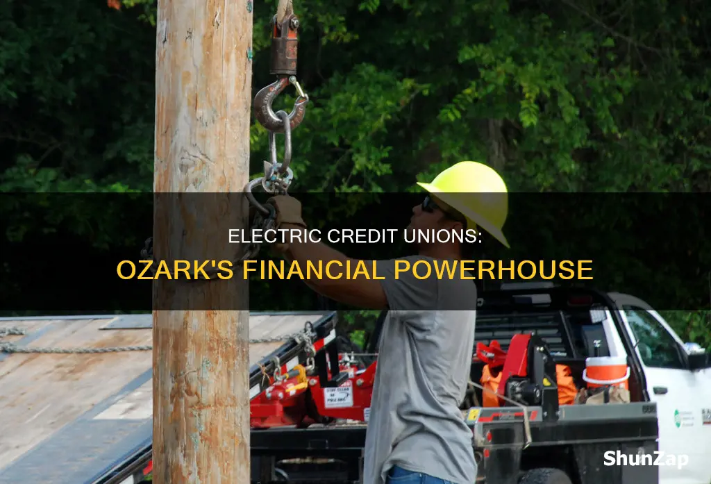 does ozark electric have a credit union