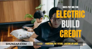 Electric Bills: Paying to Build Credit?