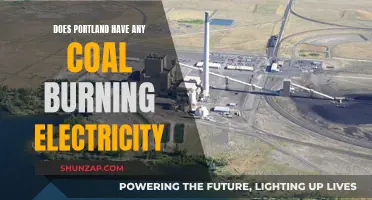 Portland's Energy Sources: Coal-Burning Electricity and Beyond